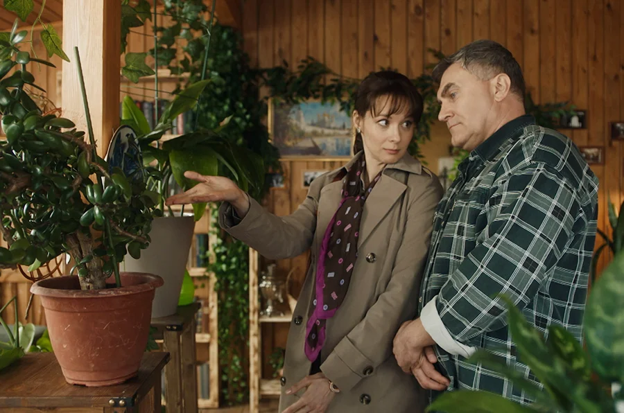 Обложка Денежное дерево (2025)