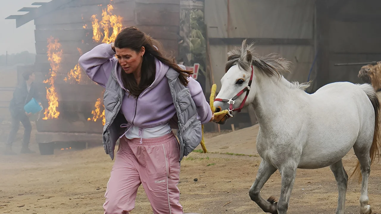 Обложка Мои звери 4 сезон (2025)