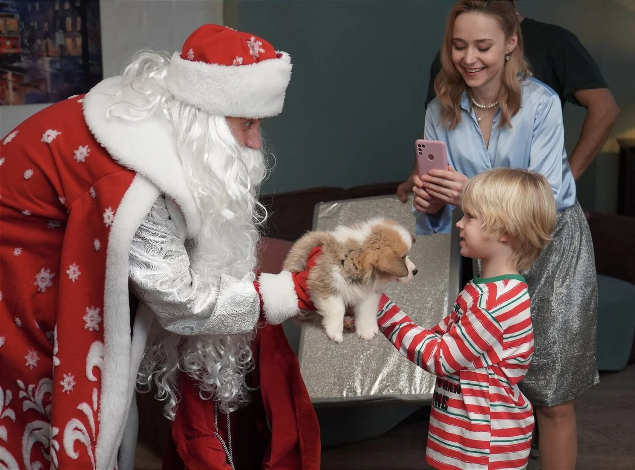 Обложка Наш папа – Дед Мороз! (2025)