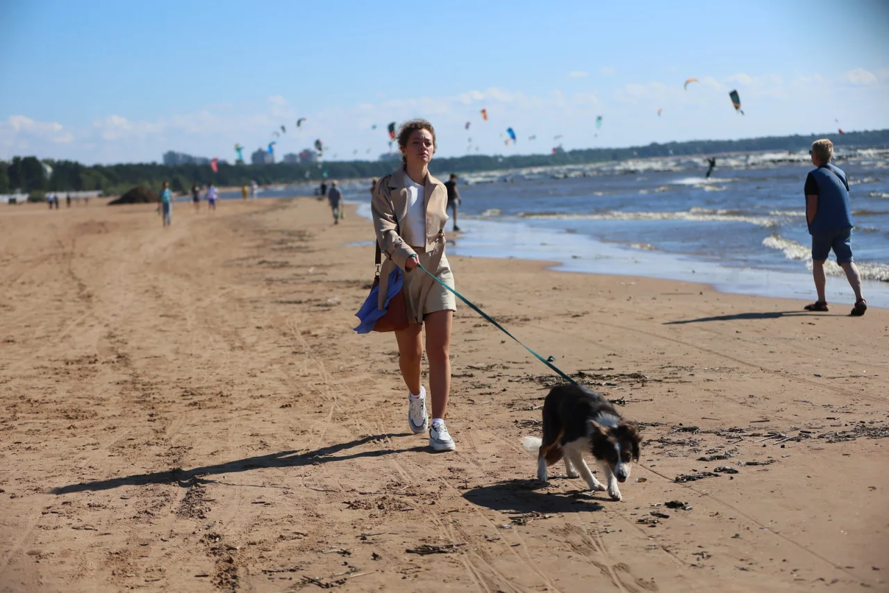 Обложка Каждому по заслугам (2025)