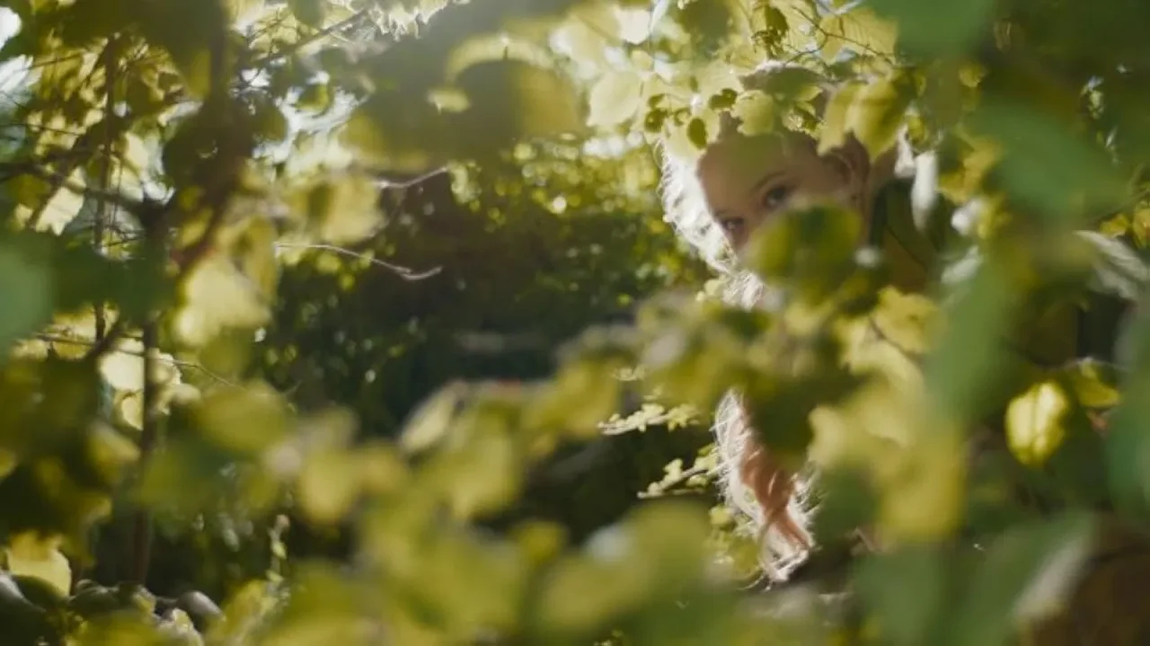 Обложка Вверх по волшебному дереву (2026)