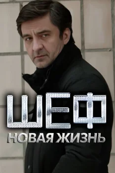 Постер Шеф 3. Новая жизнь (2015)
