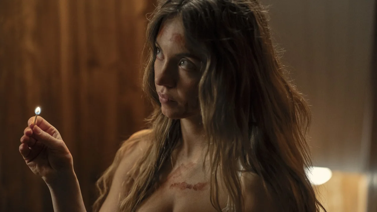 Обложка Горничная (2025)