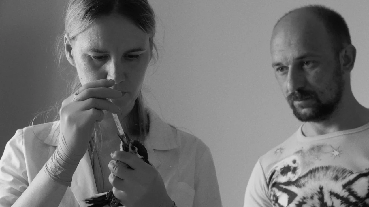 Обложка Инстинкт (2025)