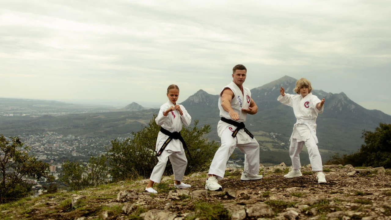 Обложка Малыш-каратист (2026)