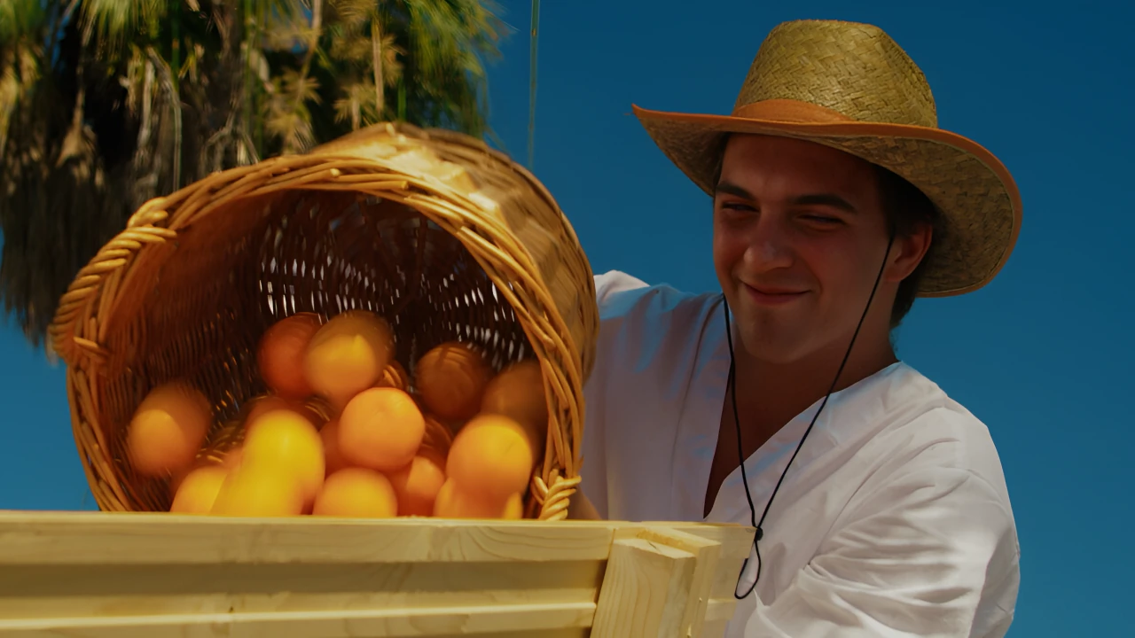 Обложка Мандариния – страна чудес (2026)