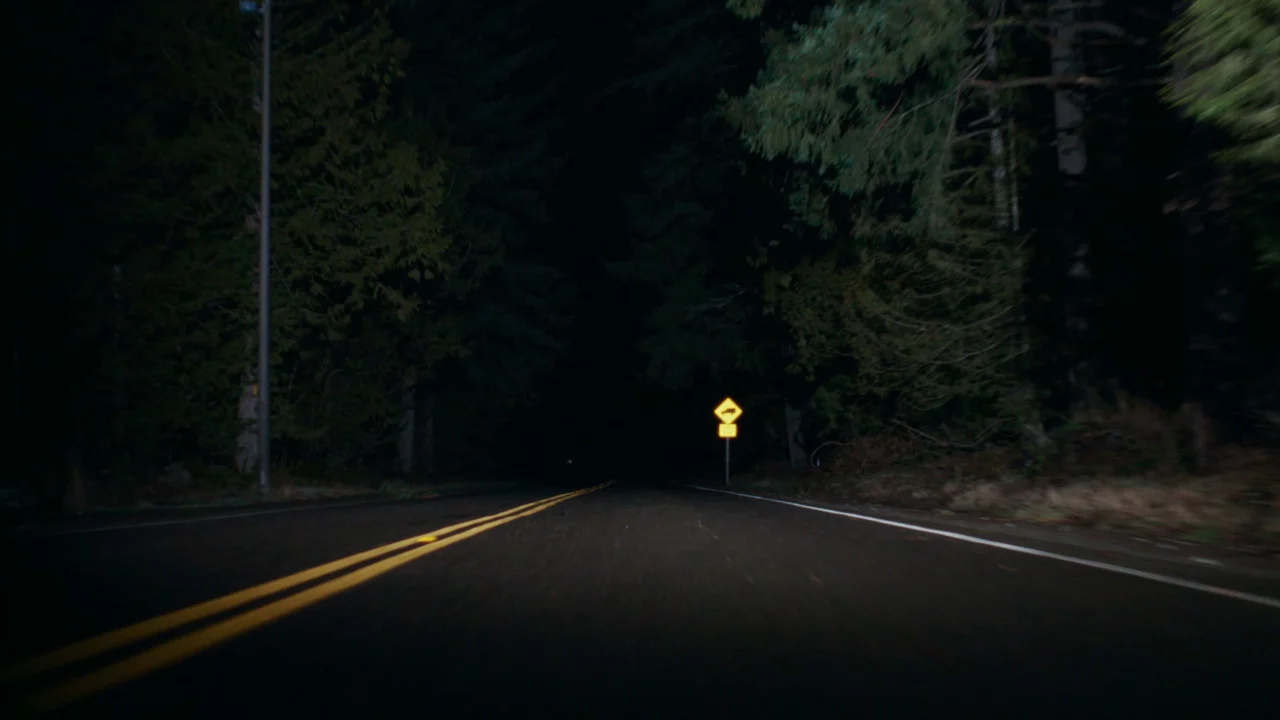 Обложка Пассажир (2026)