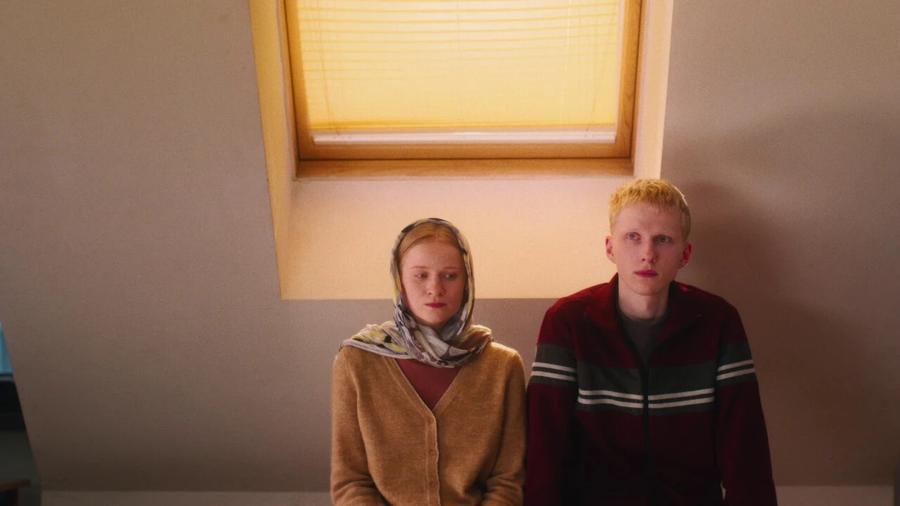 Обложка Мальчик-птица (2025)