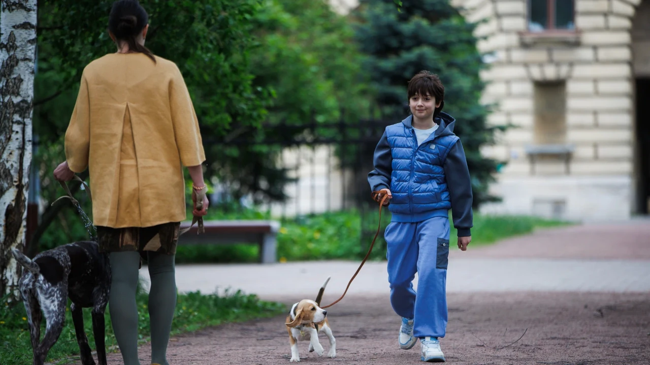 Обложка Принц (2027)
