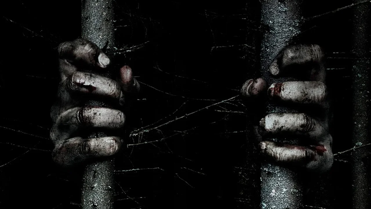 Обложка Ведьма из Блэр: Новая глава (2016)