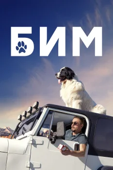 Постер БиМ (2021)