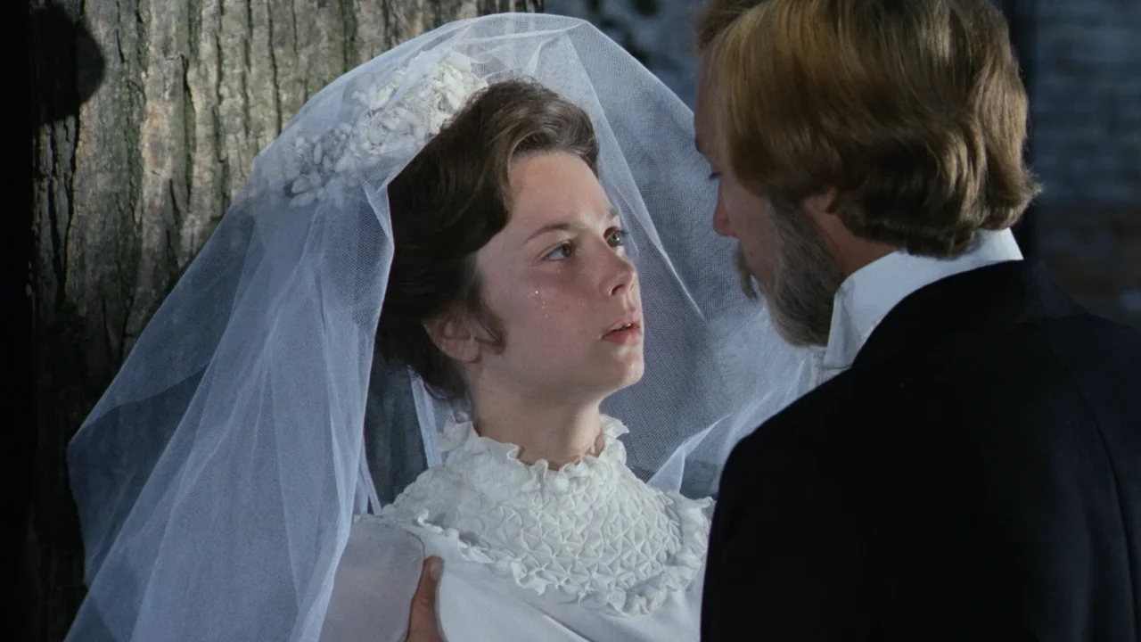 Обложка Мой ласковый и нежный зверь (1978)