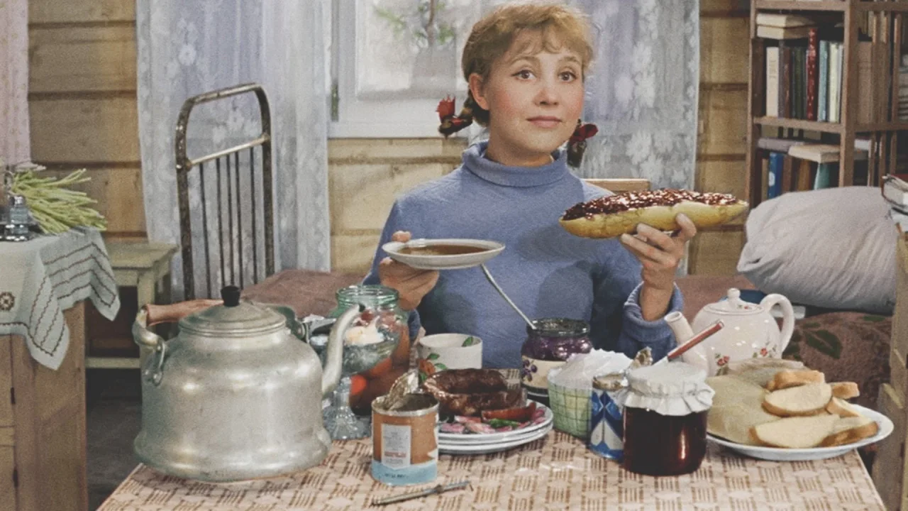 Обложка Девчата (1961)