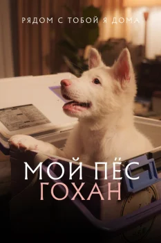 Мой пёс Гохан (2026)